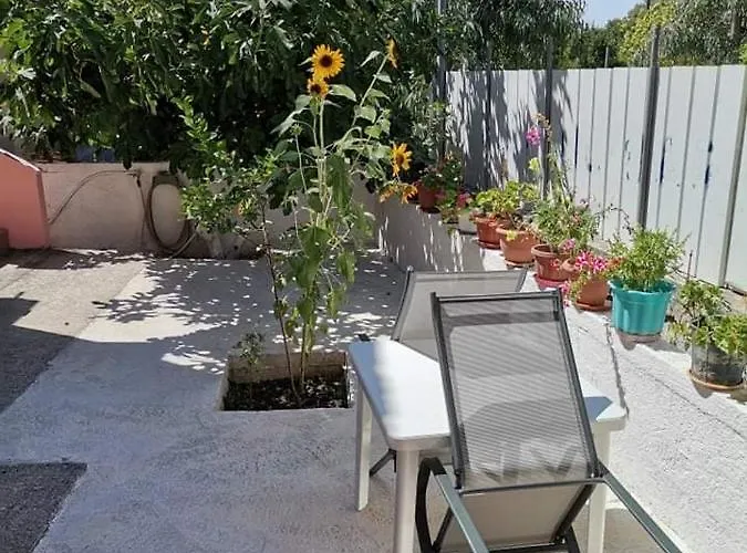 Zenap * 圣乔治斯